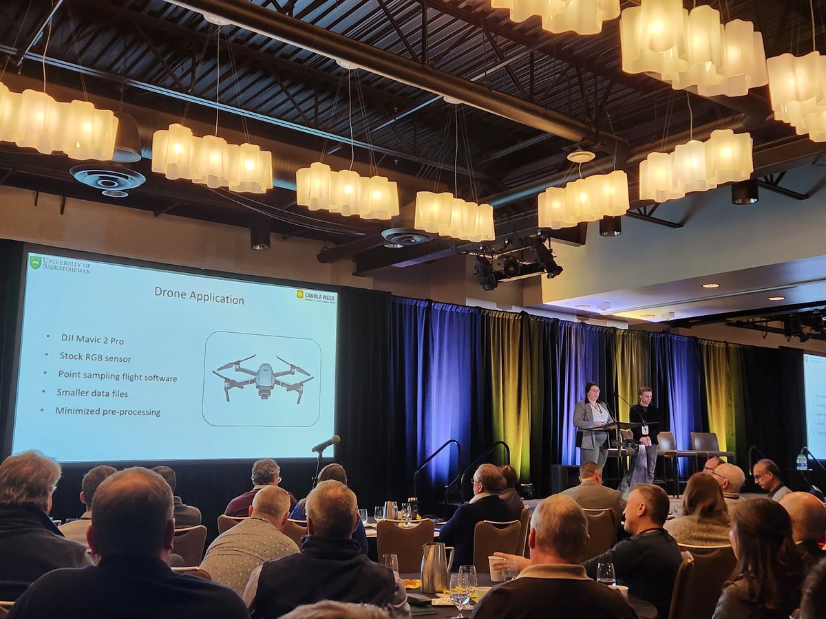 Kaylie Krys tweet media