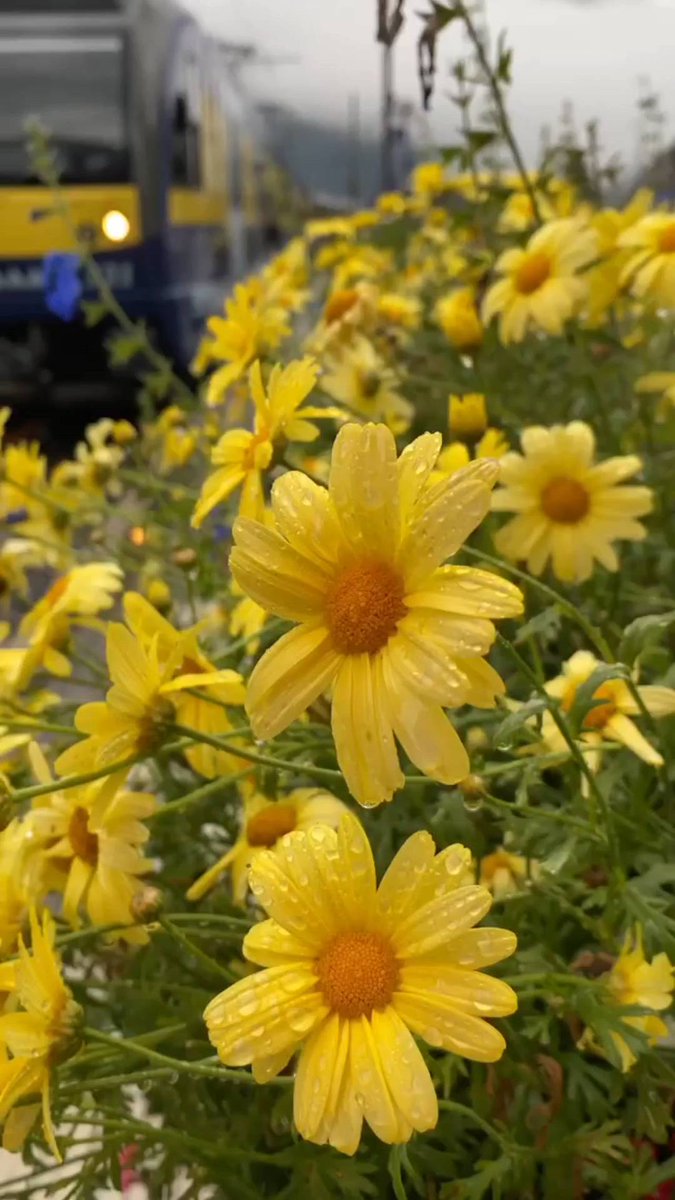 When you ᠎come  to  this ​world, ​you  must ᠎make ᠍an ‍effort ⬝to ﾞsee ﾠall ​the beauty.