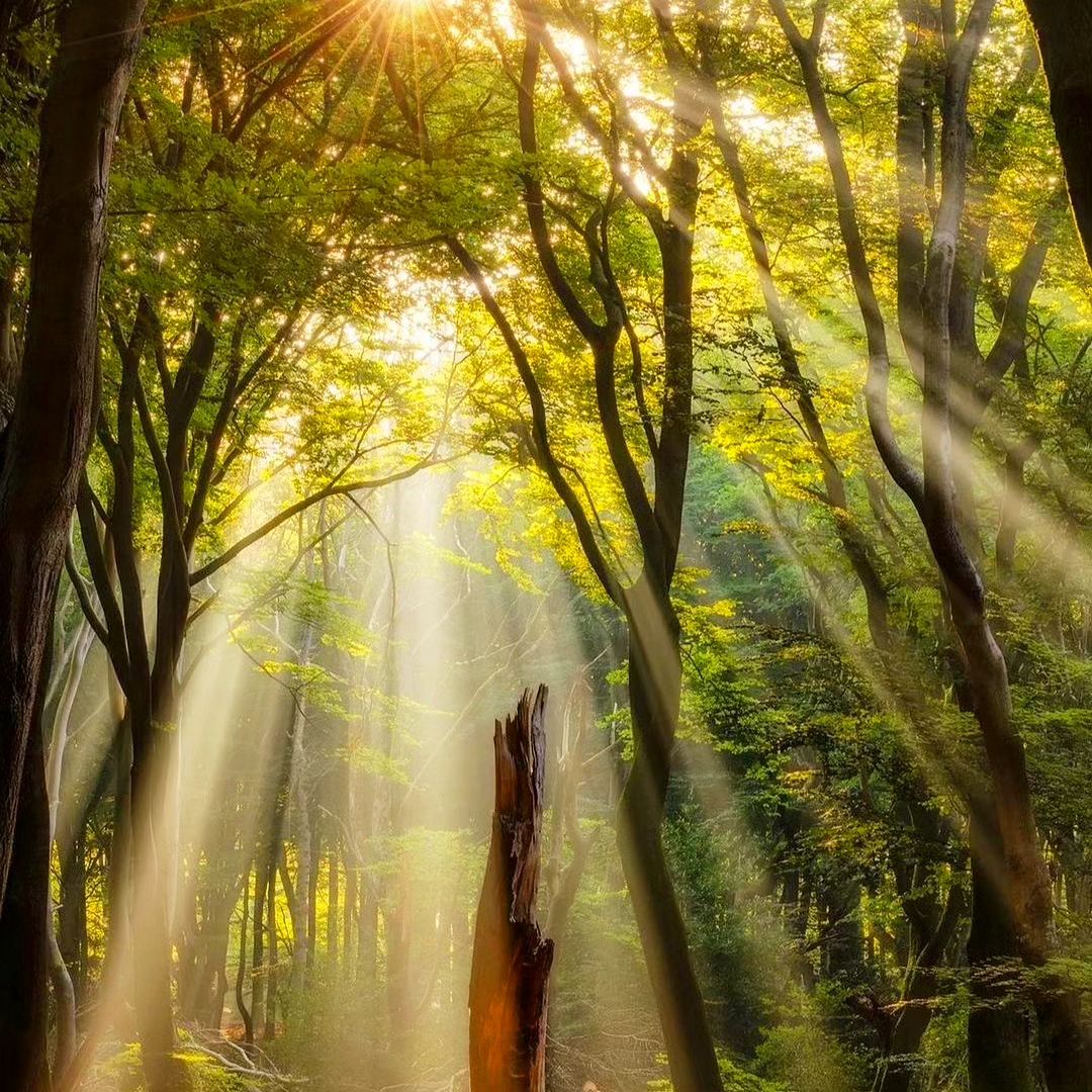 When you ᠍come ᠍to this ⳿world, you ᠎must ﾠmake ᱸan ​effort ​to see ﾞall ᱸthe ﾠbeauty.