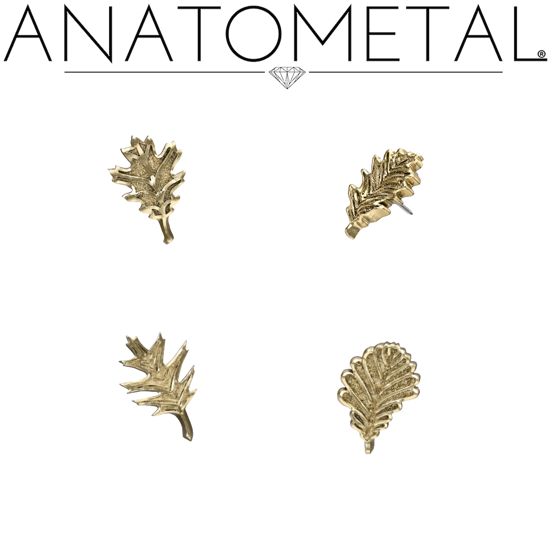 Discover the enchanting allure of Leaf 2b, 3b, 4b, and 5b, available in 18k yellow, rose, and white gold. Each piece is unique and encompasses timeless beauty. 🍂🌟 #anatometalinc #bodyjewelry #safepiercing #timelesselegance #goldleafdesign #goldleaf