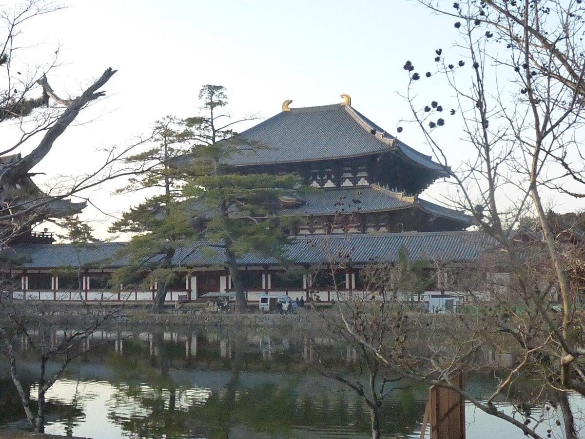 今年、三月にお水取りを見に行ったときに撮影した東大寺大仏殿です。
あれから、もう9ヶ月が経ちました。
二月堂のお水取りで出会った人も無事一年を過されたらいいなと思う今日この頃です。
＃東大寺大仏殿 ＃鏡池