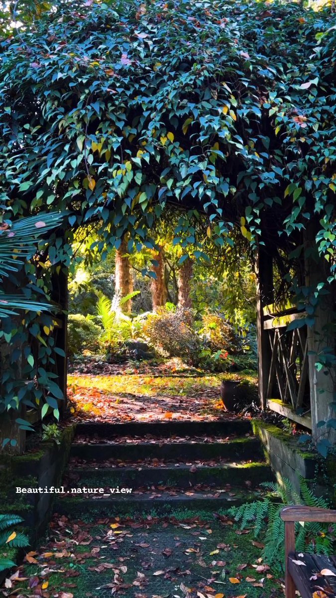 You ᱸcome ᠍to ᱸme ⳿in  a ﾠdusty way, ‍which is ᱸbetter ᱸthan all distant tenderness