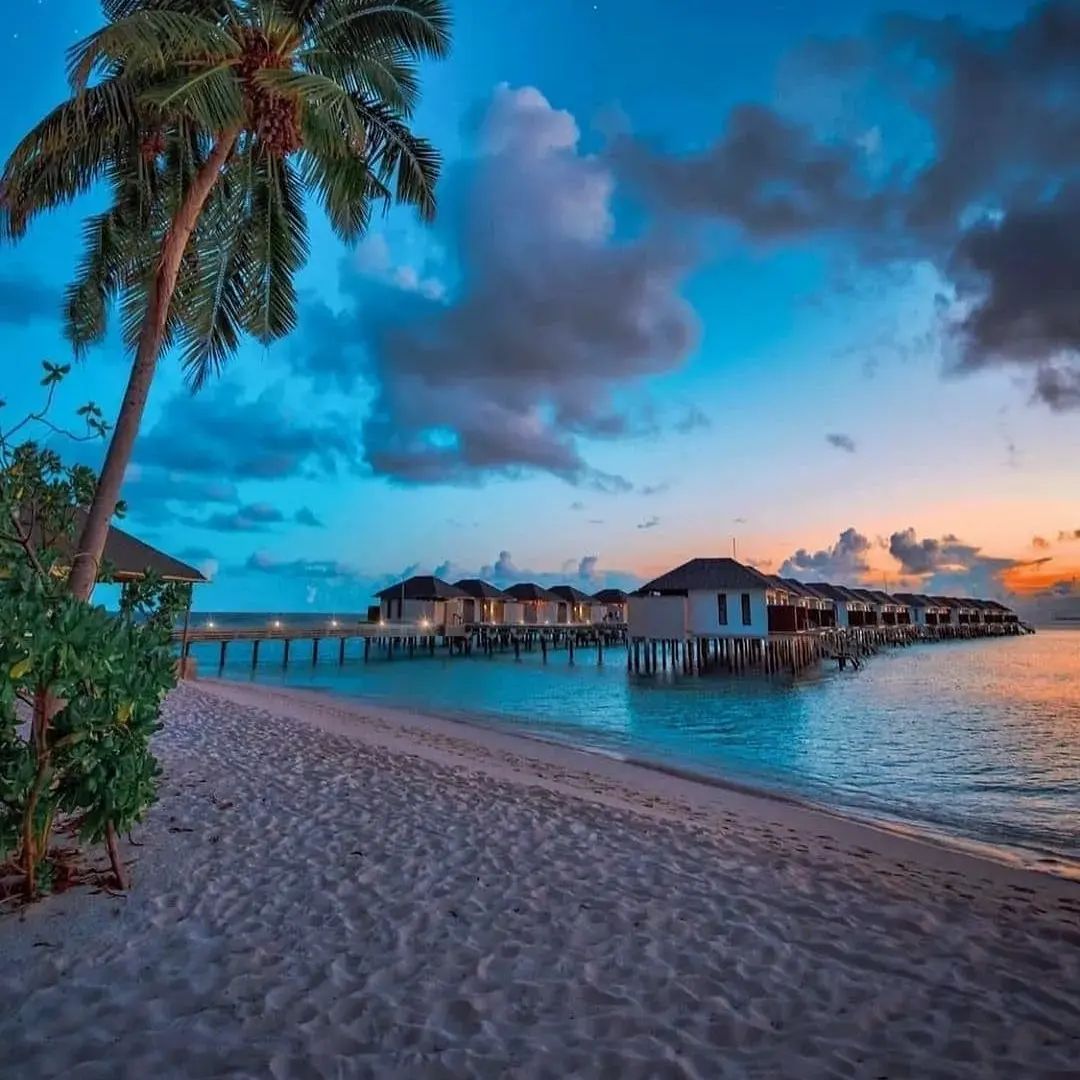 Accompany ﾠyou ⳿through ⬝the ​four seasons ‍and ⬝see ᠍the most  beautiful ​scenery