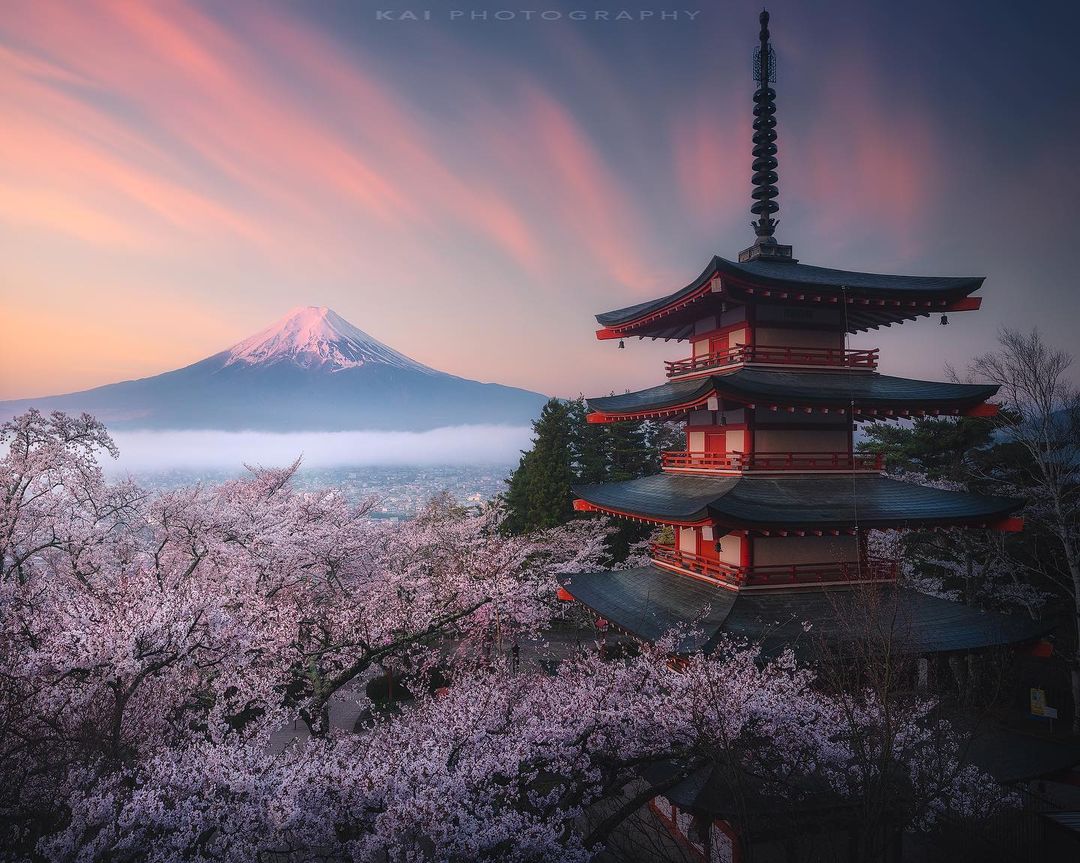 I ‍came ﾞfrom ‍afar ᱸto ᠍have ᠎an ⬝appointment ⬝with ᱸyou.