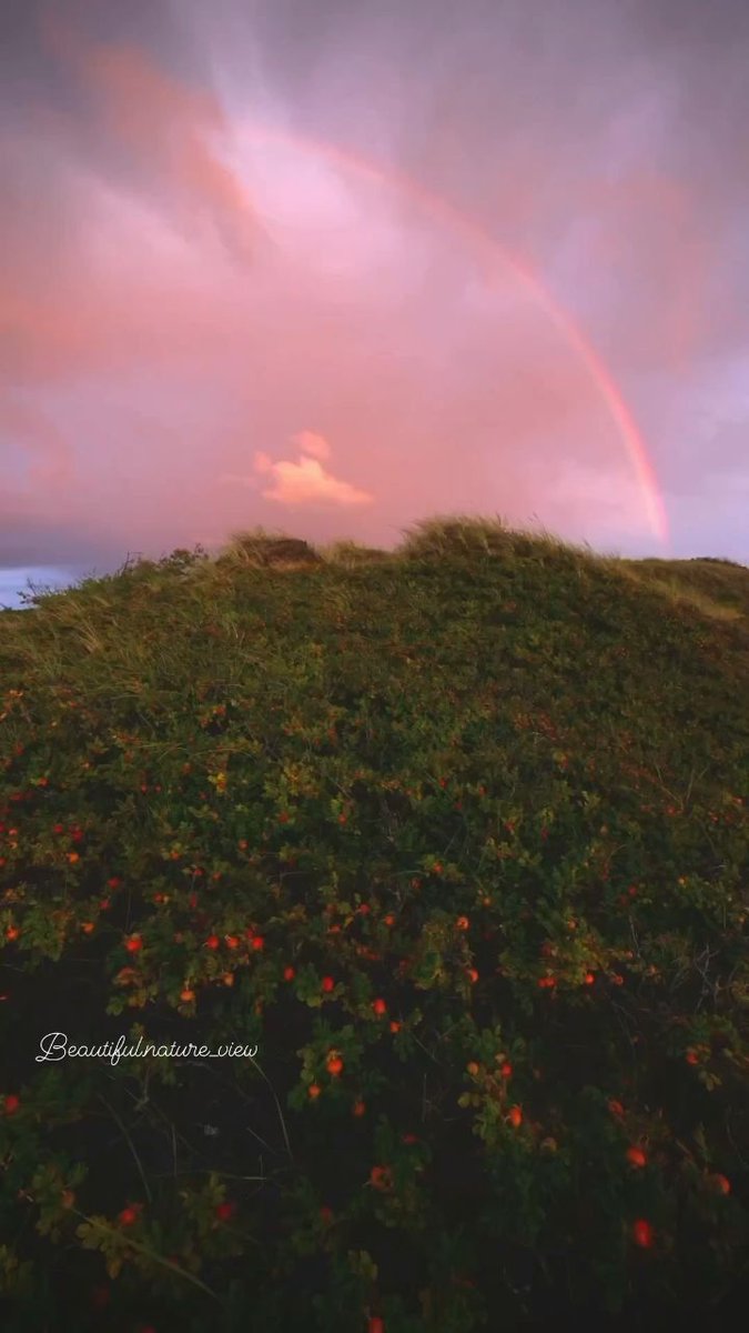 When  you ᠍come ﾞto ﾠthis ⬝world, ᱸyou ﾠmust ⳿make  an ﾞeffort to ᠎see ᠎more ​scenery.