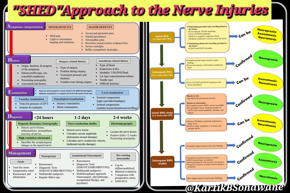 KartikBSonawane's tweet photo. *"Knowing it, B4 Blocking It" : ABCD of Peripheral Nerves*
#PeripheralNerveInjuries
#NerveInjuries
#Nervefibres
#TypesofNerveInjuries
#PreventionofNerveInjuries
#SHEDapproach
#DiagnosisOfPNI
*My 10 points:*
A. NERVE ANATOMY & PHYSIOLOGY
1. The *Epineurium* is absent around monofascicular Ns.& at Free nerve endings.
The tough *Perineurium* acts as a semipermeable barrier to LA.
During nerve injury, the *Endoneurial* fluid increases, causing nerve edema - detected by Magnetic resonance neurography (MRN).
2. The *Paraneurium* protects the nerve from stretching/compression during body movements.
This *Sweet spot* of the N. can be an ideal site for LA deposition.
3. Most impulses arise at the *Trigger zone* - A junction of the axon hillock with the initial segment.
A nerve transmits these electrochemical impulses from one neuron to another by crossing a synapse.
The message is converted from electrical to chemical and then back to electrical.
4. The arrangement of the peripheral mantle to inner core fibers in the nerve is responsible for *differential block* by LA.
The diffusion of LA from the mantle to the core fibers depends on the concentration gradient.
The sequence of blockade includes *B fibers> C fibers = Aδ fibers> Aγ fibers> Aβ fibers> Aα fibers.*
B. NERVE INJURY TYPES AND PATHOPHYSIOLOGY
5. *Neurapraxia* is associated with reversible conduction blockade due to localized myelin degeneration (without affecting the axon/ neural tube/connective tissues) due to transient ischemia, mainly due to compression.
*Axonotmesis* involves complete interruption of axons (without affecting neural connective tissues), leading to conduction loss in the nerve fiber beyond the zone of injury - Common with crush and stretch injuries.
*Neurotmesis*, a most severe form of nerve injury, involves complete transection of the nerve - Observed after massive trauma, sharp injuries, traction or avulsion injuries, & the injection of noxious drugs.
6. Following nerve injury, the nerve undergoes Degeneration followed by regeneration.
*Degeneration* proximal to injury site - primary/retrograde Degeneration. Degeneration distal to the injury site -secondary/anterograde/Wallaerian Degeneration.
*Regeneration* is not possible when the cell body is damaged, but it is possible with axonal damage. The ER and ribosome responsible for protein synthesis are present in the cell body cytoplasm but absent in the axoplasm.
C. PREVENTION OF NERVE INJURIES
7. *Subjective monitoring* (paresthesia, pain on injection, or syringe feel) can be unreliable than *Objective monitoring* (injection port pressure display, PNS, compressed air injection technique (CAIT), real-time visualization under ultrasound, and injection pressure manometers such as BSmart, NerveGuard, and SAFIRA).
8. *Dual guidance* (USG + PNS) helps reduce the risk of nerve injury. In addition, *Triple guidance* (USG + PNS + injection pressure monitoring) further improves RA safety and gives the confidence to administer PNBs without nerve injury.
D. TREATMENT OF NERVE INJURIES
9. The *SHED* (Symptoms categorization-History taking-Examination-Diagnostic evaluations) approach can be helpful when approaching nerve injury patients.
Available diagnostic tools for PNI include high-resolution US, MRI/MRN, CT scan, and electrophysiological testing.
The choice of diagnostic tests depends on the time since nerve injury and the time required to complete post-injury physiological processes (like Degeneration, regeneration, remyelination, and reinnervation).
10. *NCS* detects and *EMG* locates the nerve lesion.
Initial NCS is performed only after 1-2 days of injury and can be repeated in 10-14 days if the symptoms persist.
EMG study is conducted 2-4 weeks after the injury. After 4 weeks, the beginning of the reinnervation process can interfere with the EMG study.