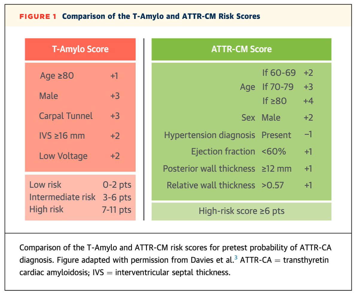 Claudio Tinoco Mesquita tweet media