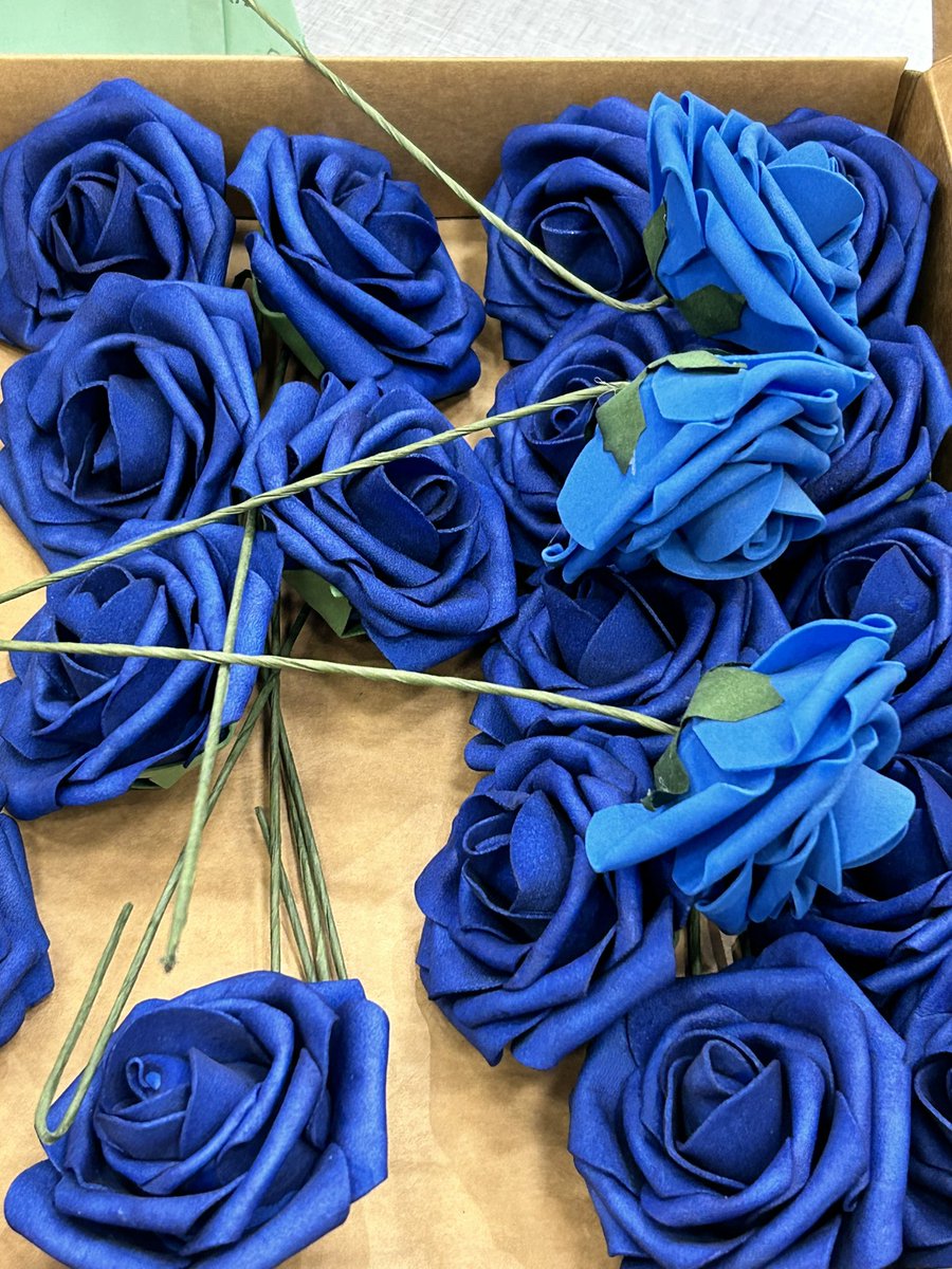 Anthony Middle School tweet media