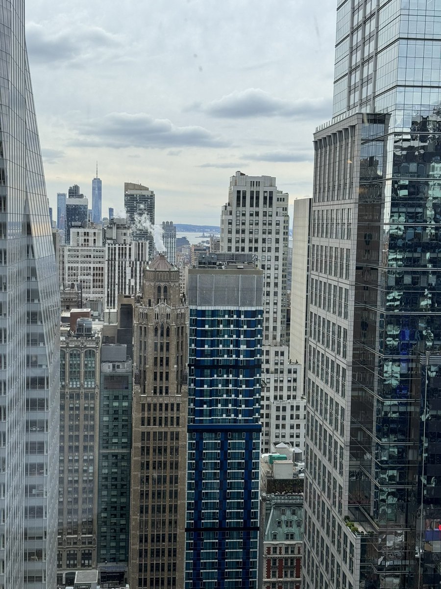 Hello again 🇺🇸 🏙️

Today was my first day as Machine Learning Researcher at <a href="/DEShawResearch/">D. E. Shaw Research</a>.

I am very excited to be joining an awesome team developing computational tools to transform drug discovery! And it’s unreal that I’ll get to enjoy this view every day now🗽