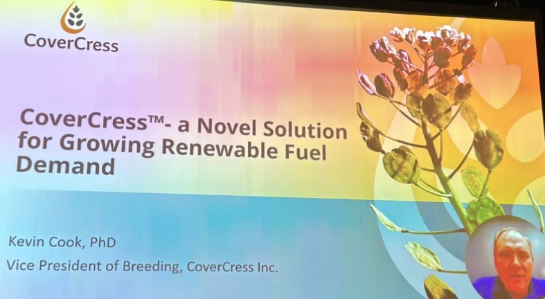 Kaylie Krys tweet media