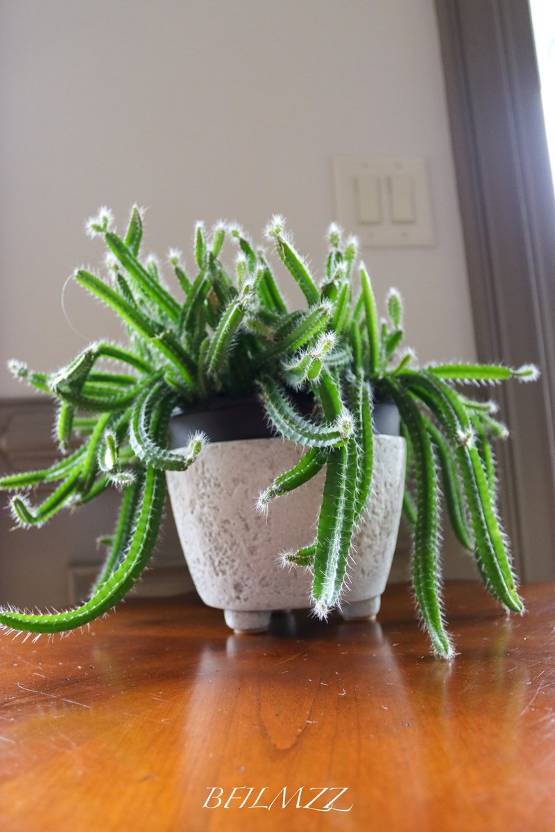 Bfilmzzz (@batese174) on Twitter photo 