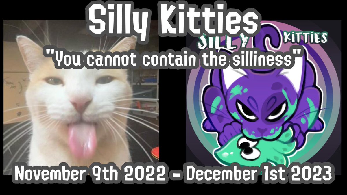 Silly Kitties!! (@Silly_Kitties_) / Posts / X