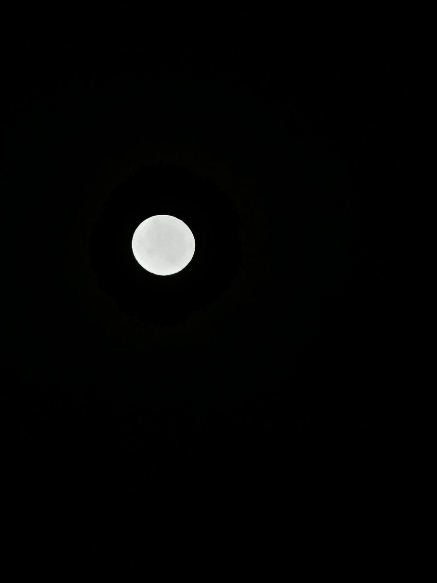 haqifaysnia's tweet image. Me on the other hand, off all setting, manually setting the exposure, but in gallery, it is auto-adjusted brightness. Terus bulan jadi button je. #ip14pro juga