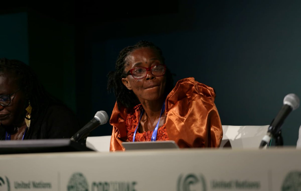 TWINSecretariat's tweet photo. We are extremely humbled to be joined by Rebecca Apapa ADF, Michael Cullen from @terraglobal, Prof Augstine @NTNUnorway for their participation at our event 
#UNCCRD #DeltasUNite at #COP28 https://t.co/0HbrUsA6cG