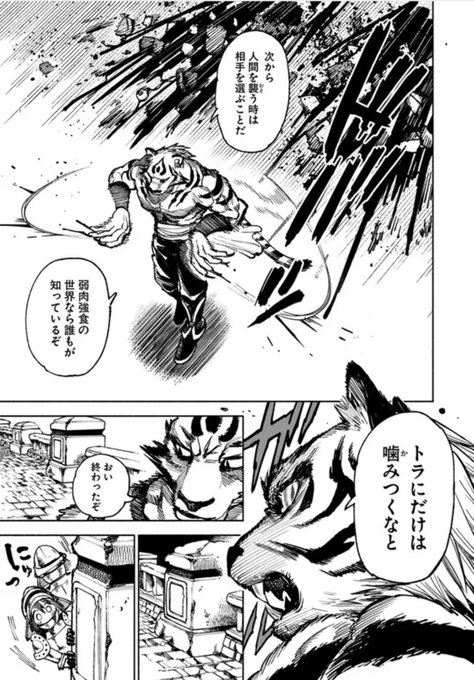 虎サムライ 虎サムライ SAMURAI TIGER [MXM]