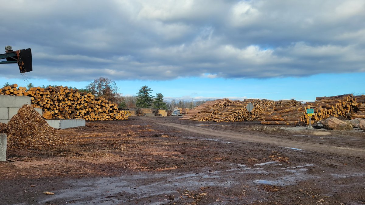 QueensWWBL's tweet photo. @ONresources announced investing $1.5M in emerging technologies for sustainable forest biomass management. This includes our collaborative project involving @QueensWWBL at @QuCHEE, Harvest Bioindustrial Group, &amp; Lavern Heideman &amp; Sons to produce biofuel from hardwood residues. https://t.co/631hiQMrlH