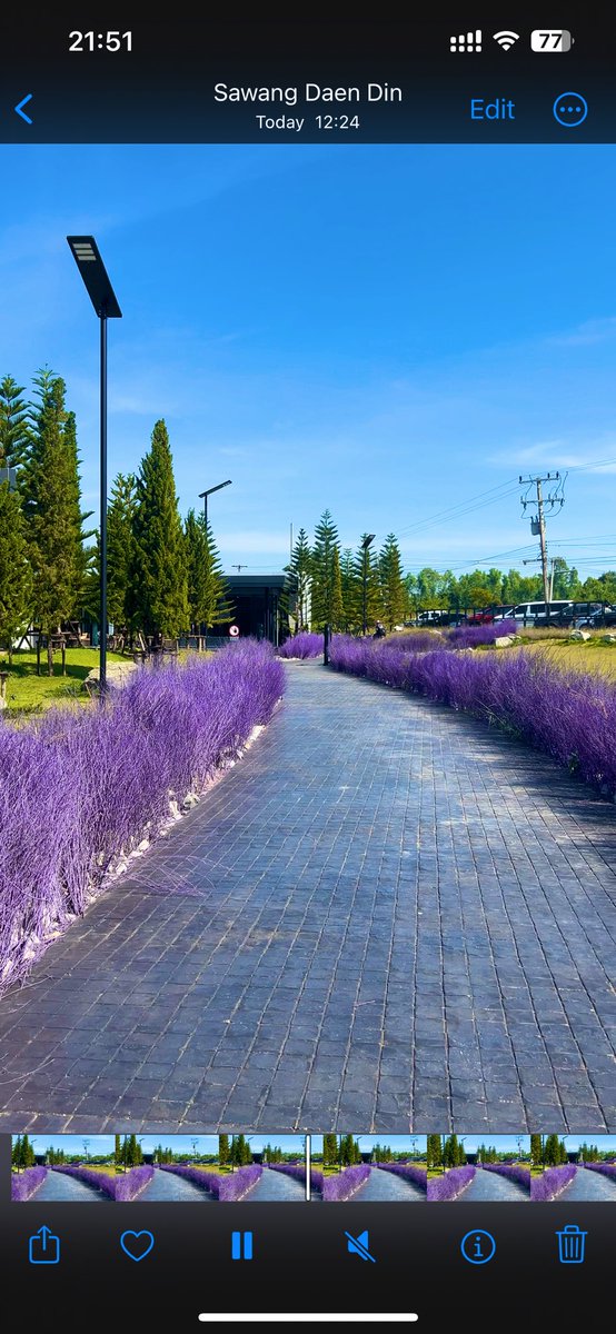 OneV168's tweet photo. Some beautiful paths can’t be discovered without getting lost.
@ See starts &amp; forest Resort 
#relax https://t.co/HjTvqmy2W1