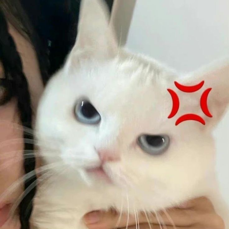 pekejic's tweet image. Giveaway Time🐣

- 1 wdp / saldo 25k
- 5 pemenang dm receh
(total 6 pemenang)

Syarat :
- like, rt, follow @terasyi
- reply done

end : misi topup aspirant phase 2 (9 desember) 😁