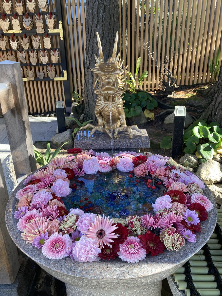 kiki_nin's tweet photo. お参りしてきました〜 https://t.co/khTeAKSIvh