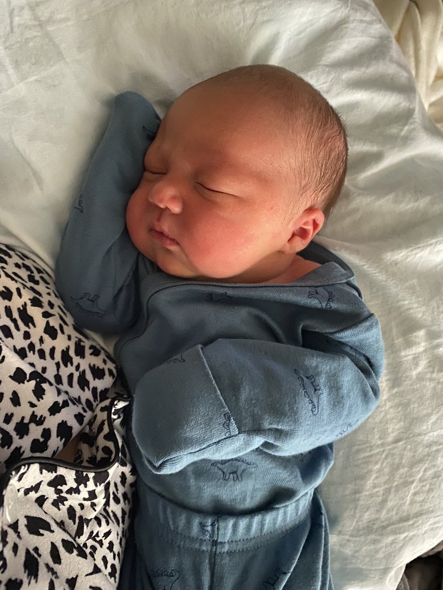 alijurod5's tweet photo. Currently sobbing looking back at photos of Arin when he was a newborn

Where did the time go😭😭 https://t.co/3nAWpkDYLf