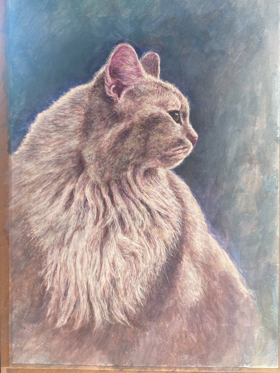 Yuki_S_nyan's tweet image. #猫絵 🐈‍🖼の途中経過 in progress その4
素描ふうの地味な絵ですが、チマチマと絵具をかすれさせたり色を重ねたりしてモフモフ感を追求しております😅まだまだ時間かかりそう
アクリルデネブ紙F4にアクリルです。
#drybrush #絵描きさんと繋がりたい  #アクリル画 #アナログ絵