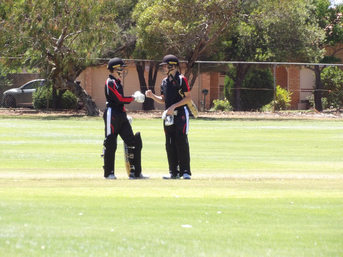 Terrace Cricket tweet media