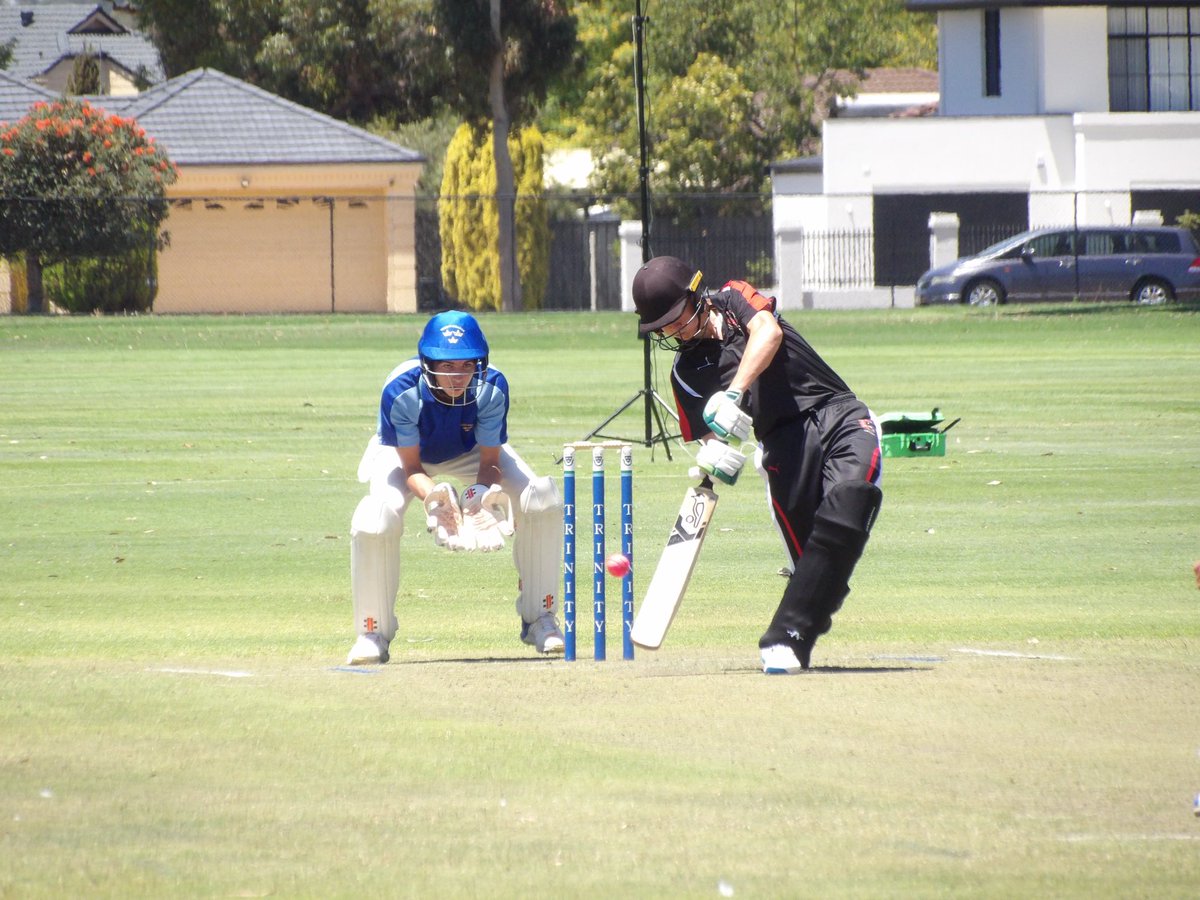 Terrace Cricket tweet media