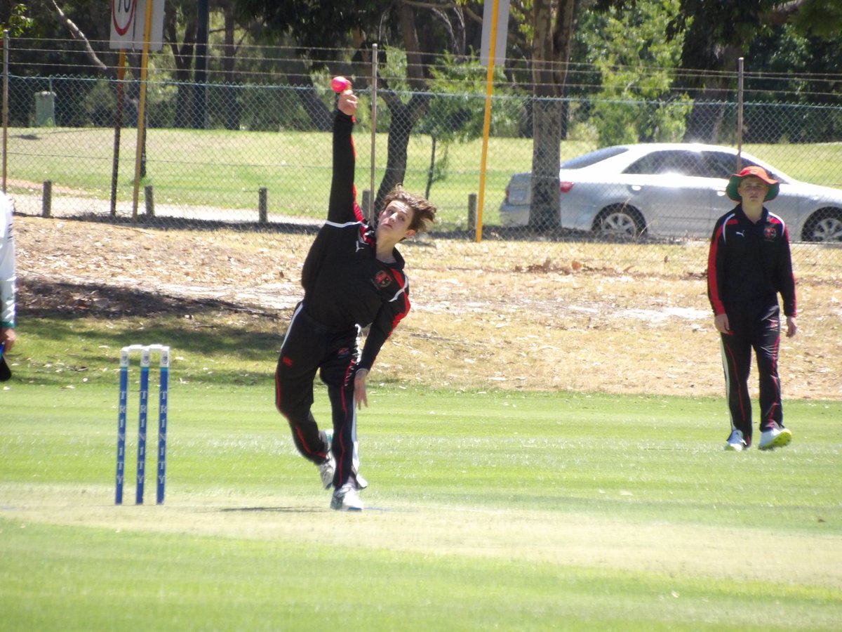 Terrace Cricket tweet media