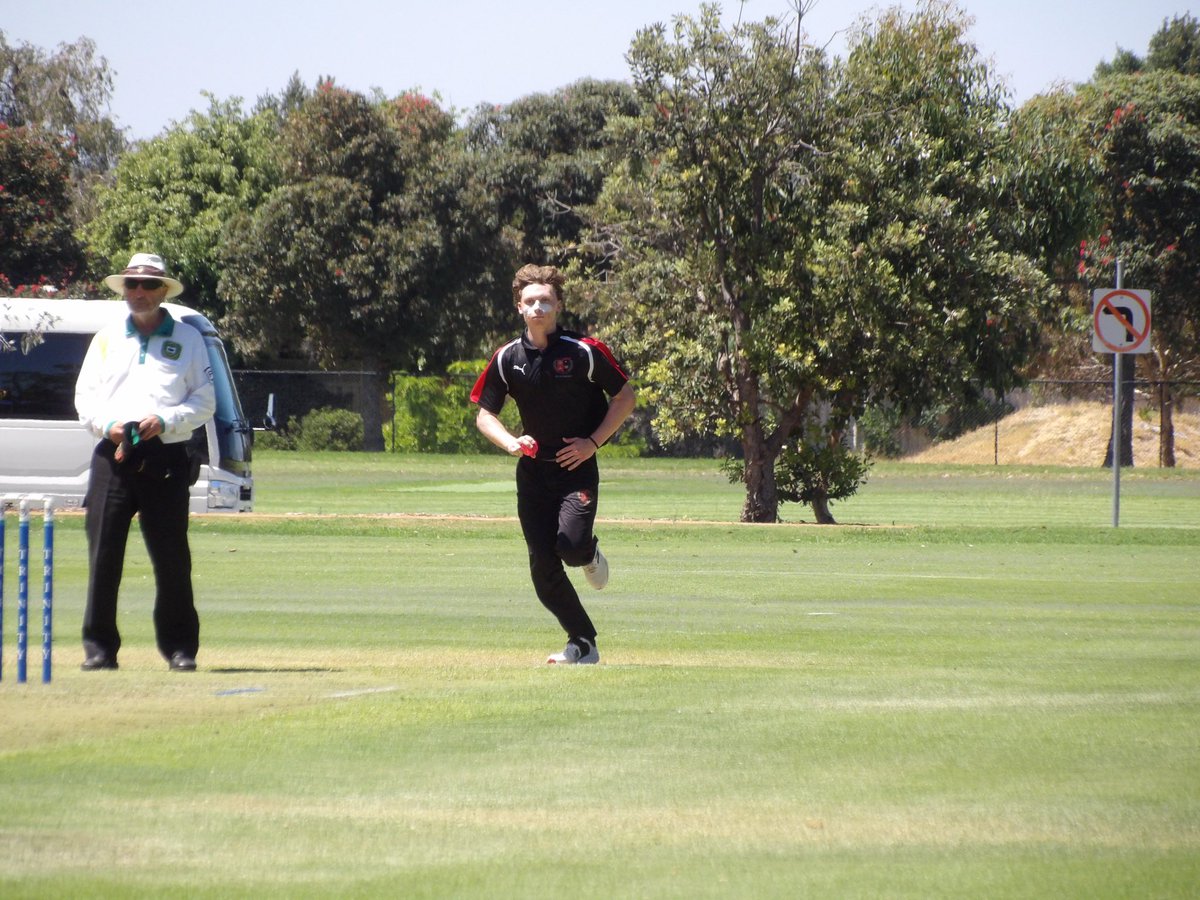 Terrace Cricket tweet media