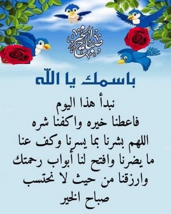 Sadq Atef tweet media