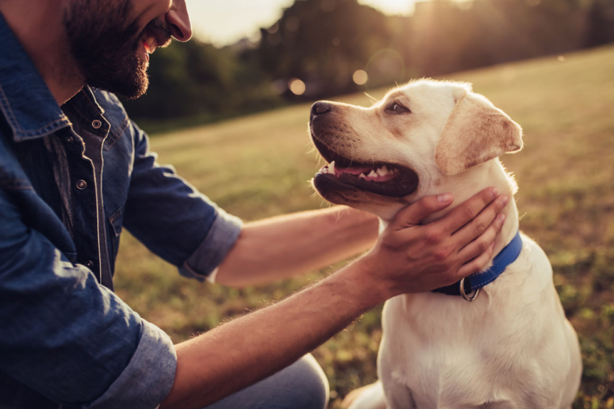 rickwriting60's tweet photo. Discovering the extent of dog neglect really opened my eyes. It's not just about food and shelter, but also love and attention. This will always stay with me. #WhatIlearnedinWR60 https://t.co/aTdFQGJyDg