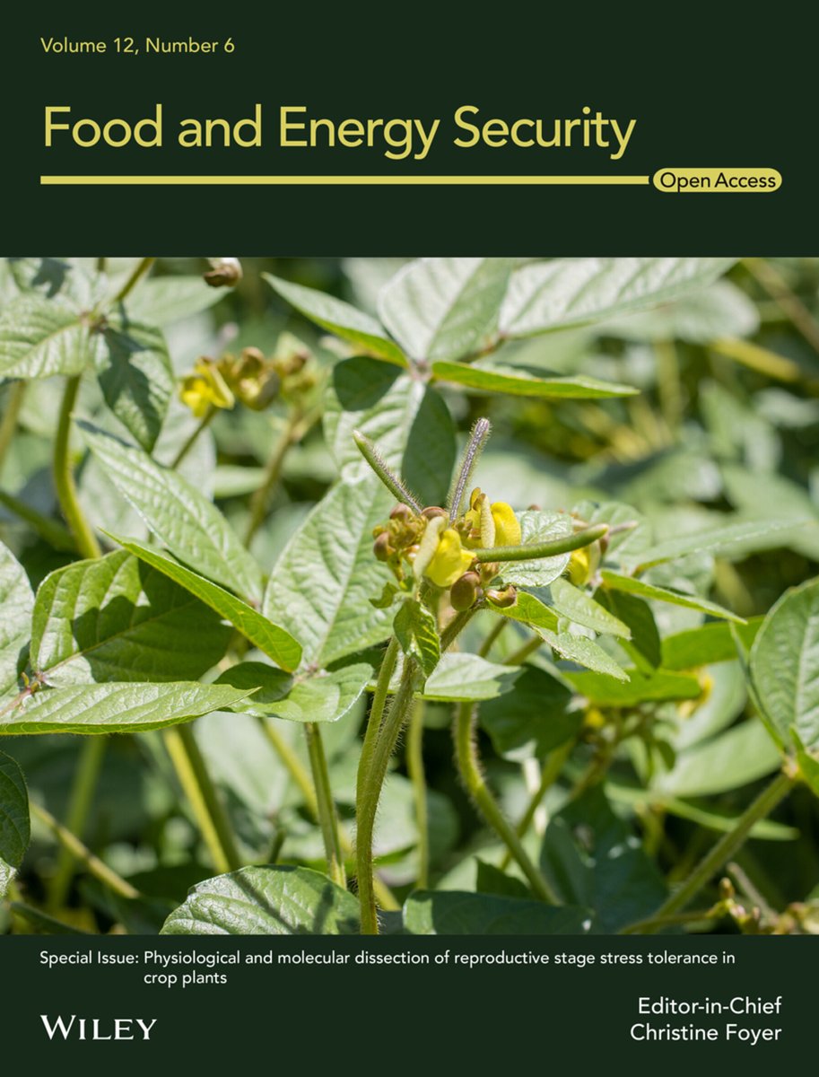 Our review article "Building a better Mungbean: Breeding for reproductive resilience in a changing climate" featured on the cover of Food and Energy Security!

Link to article: onlinelibrary.wiley.com/share/IUMCUVRP…

Congrats <a href="/shanice_vanhaef/">Shanice Van Haeften</a> and credit to @QAAFI Comms team for the great pic!