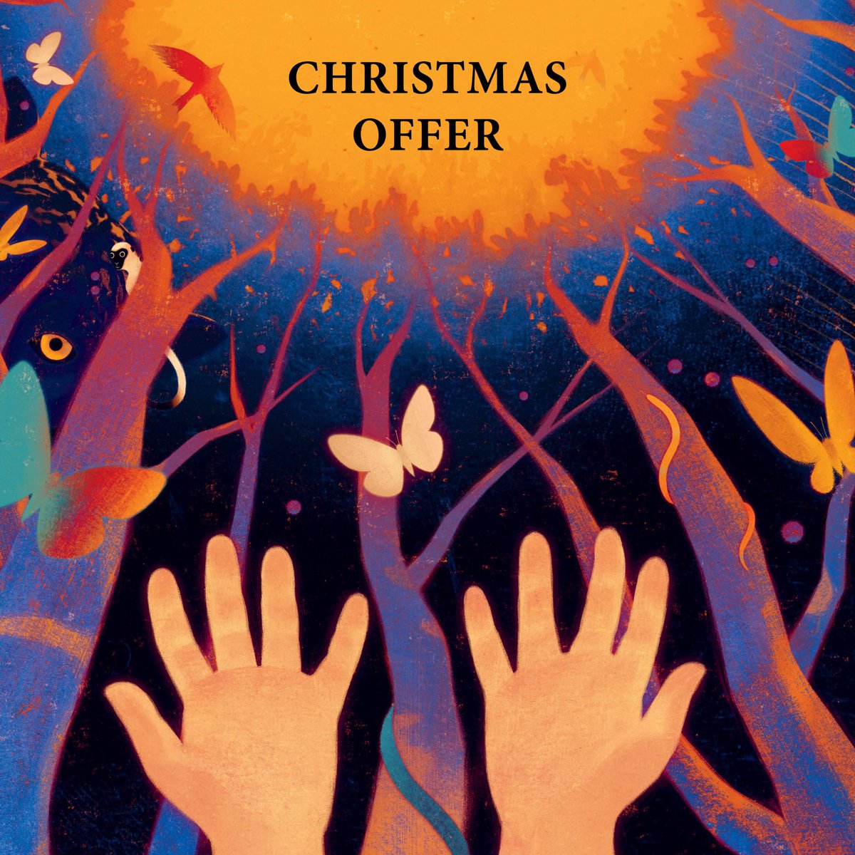 Unwrap joy and savings this holiday season with our collection of beautiful picture books and giclée prints! To receive 20% off all books and prints, just enter code XMAS at checkout before Friday 15 December. bookisland.co.uk