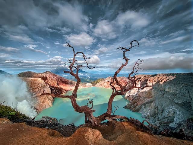 G A L E H tweet media