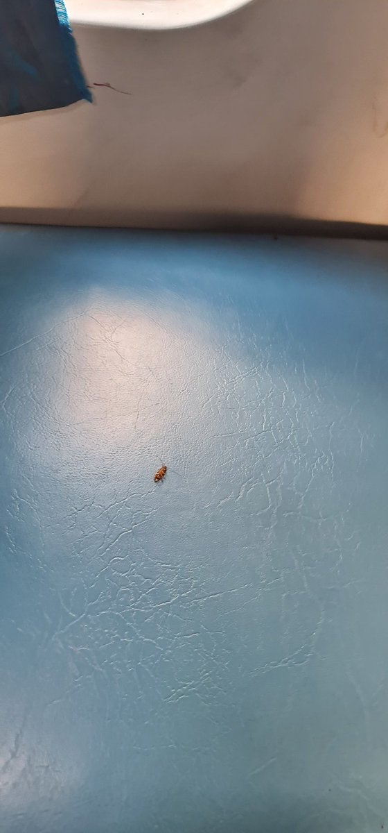 vivek_chat19's tweet photo. @RailMadad @AshwiniVaishnaw mighty disappointed 2 see such flighty condition of train# 19821 (AC coach). Informed TTE abut condition, he expressed his helplessness since cleanliness contract is nt awarded to any1. Unexpected considering the amt paid fr the tckt @IndianRailMedia https://t.co/QVKSAxlNxd