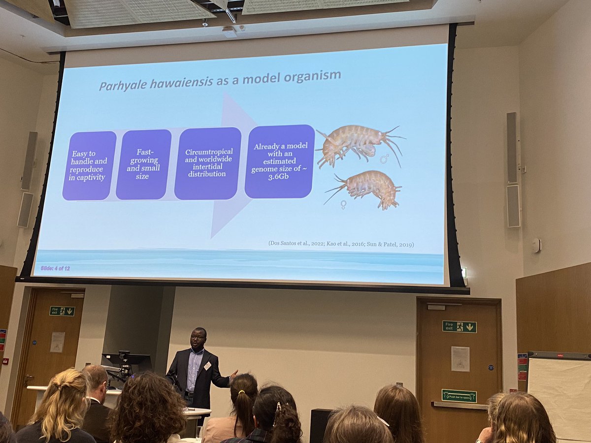 Effects of PAH and microplastics demonstrated by Ibrahim Lawan @HeriotWattUni #mastsasm23 @mastscot , nice model system, pah effects reduced by mp.