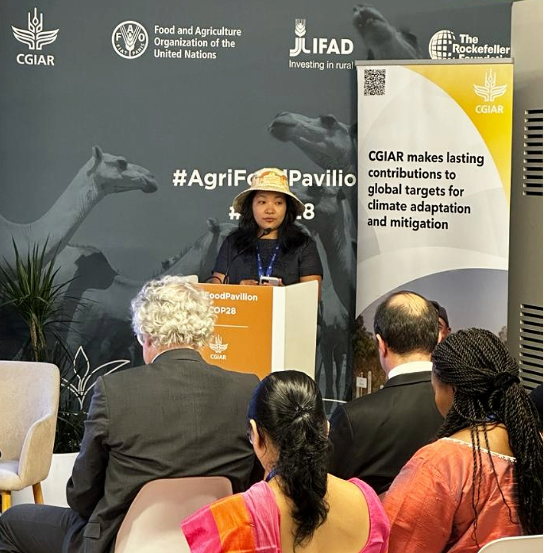 The morning event in #AgriFoodPavilion at #COP28 engaged the participants in fruitful discussions on bringing more #cropdiversity to the fields and safeguarding and utilizing indigenous crop varieties for better nutrition and food security. 

📺 Watch: buff.ly/4a98H3u