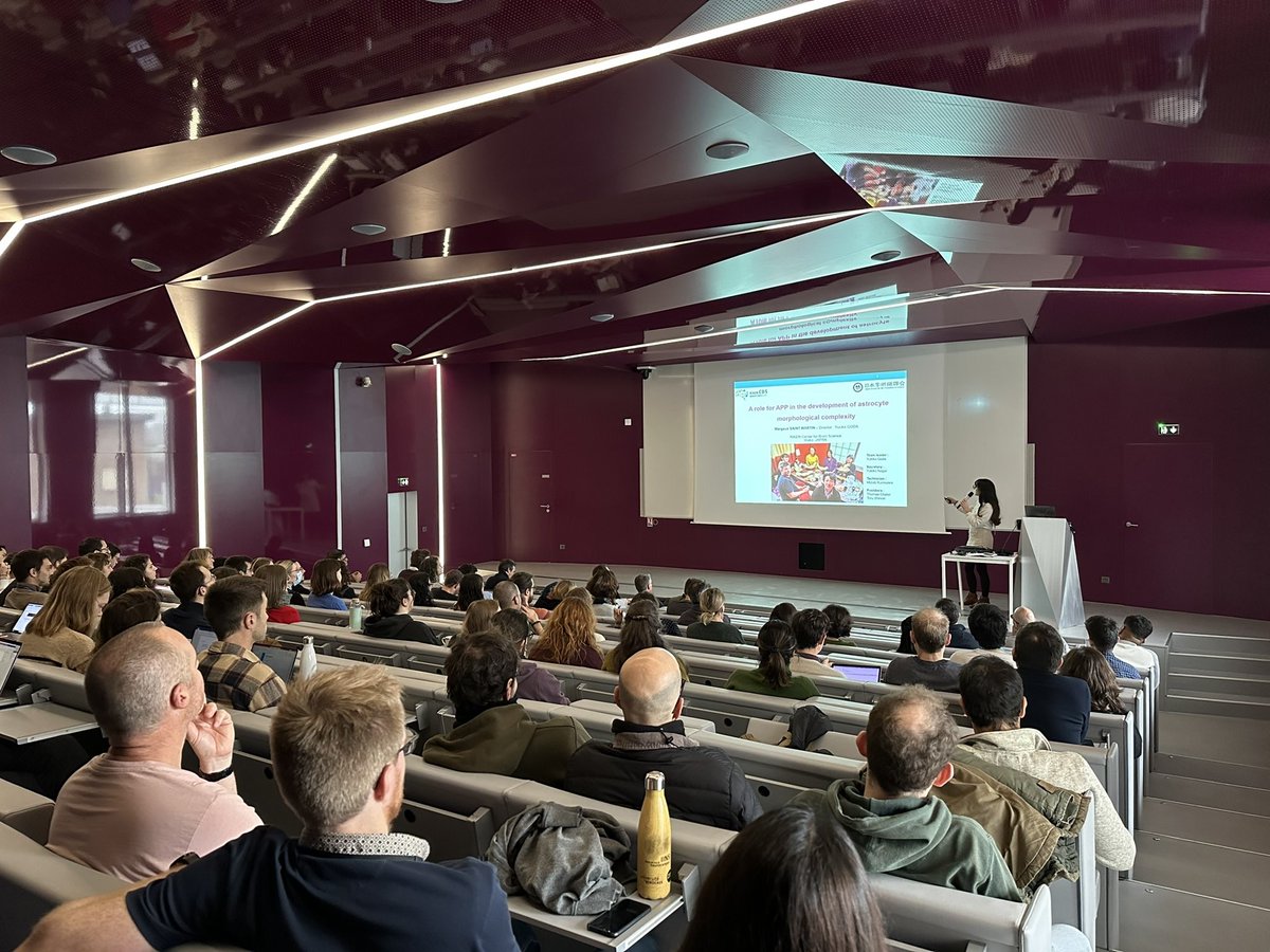 iins_bordeaux's tweet photo. 🟢👥#IINSMeeting | Today it's Margaux Saint-Martin (Team Thoumine), Tianchi Chen (@GiannoneLab) and @aviveki_vivek (Team @DavidPerrais #MemTras) who are highlighting the #projects carried out within their teams!💡
#IINSCommunity💚
#neuroscience #research #scientific https://t.co/Ga9A4mAw2o