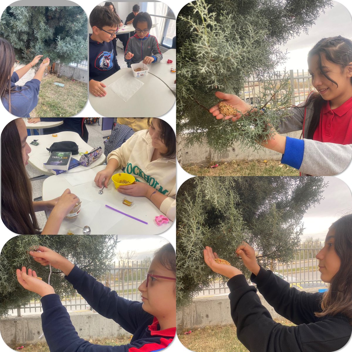 bk_corum's tweet photo. 6.sınıf öğrencilerimiz Fen Bilimleri Master Junior kapsamında minik dostları için kuş yemleri yaptılar🕊️💙❤️
#bahçeşehirkoleji
#masterjunior
#feedthebirds https://t.co/llQVncZpZu