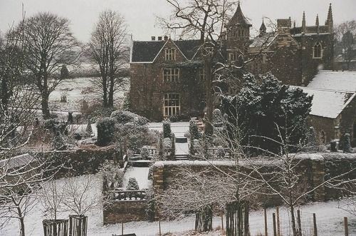 𝙳𝚊𝚛𝚔 𝚊𝚌𝚊𝚍𝚎𝚖𝚒𝚊 𝚍𝚛𝚎𝚊𝚖𝚜 tweet media