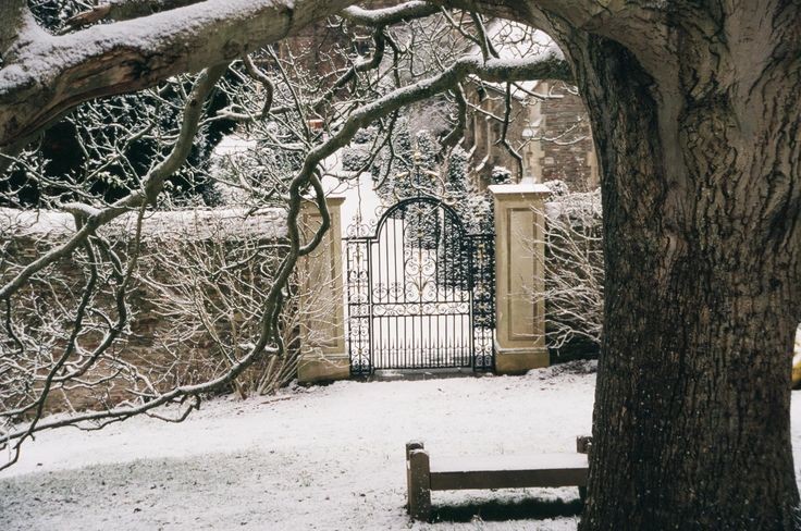 𝙳𝚊𝚛𝚔 𝚊𝚌𝚊𝚍𝚎𝚖𝚒𝚊 𝚍𝚛𝚎𝚊𝚖𝚜 tweet media