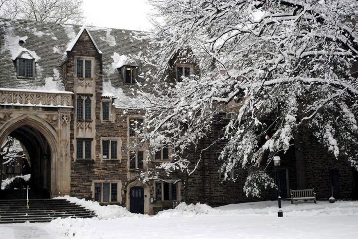 𝙳𝚊𝚛𝚔 𝚊𝚌𝚊𝚍𝚎𝚖𝚒𝚊 𝚍𝚛𝚎𝚊𝚖𝚜 tweet media