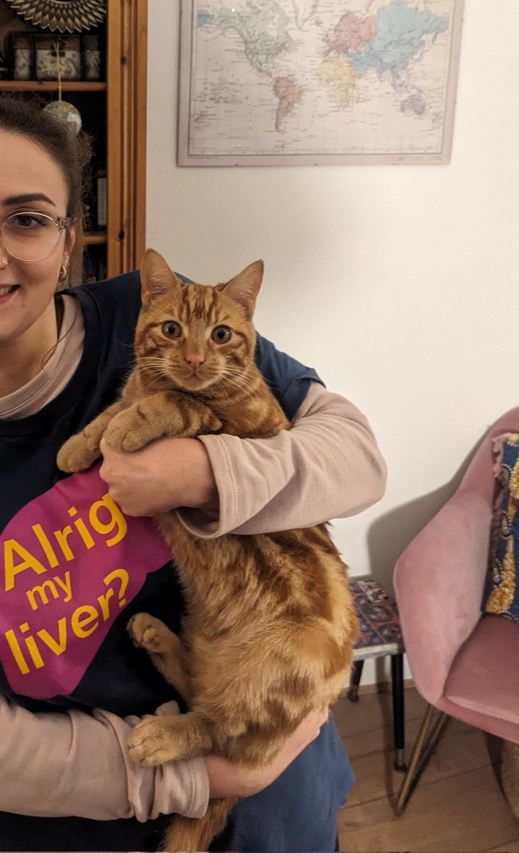Waiting patiently for #BringYourCatToWorkDay 😺 💜 See you soon @CaafiHealth - we'll be at Stapleton Baptist Church from 10am for drop in liver screening (minus the 🐅)
