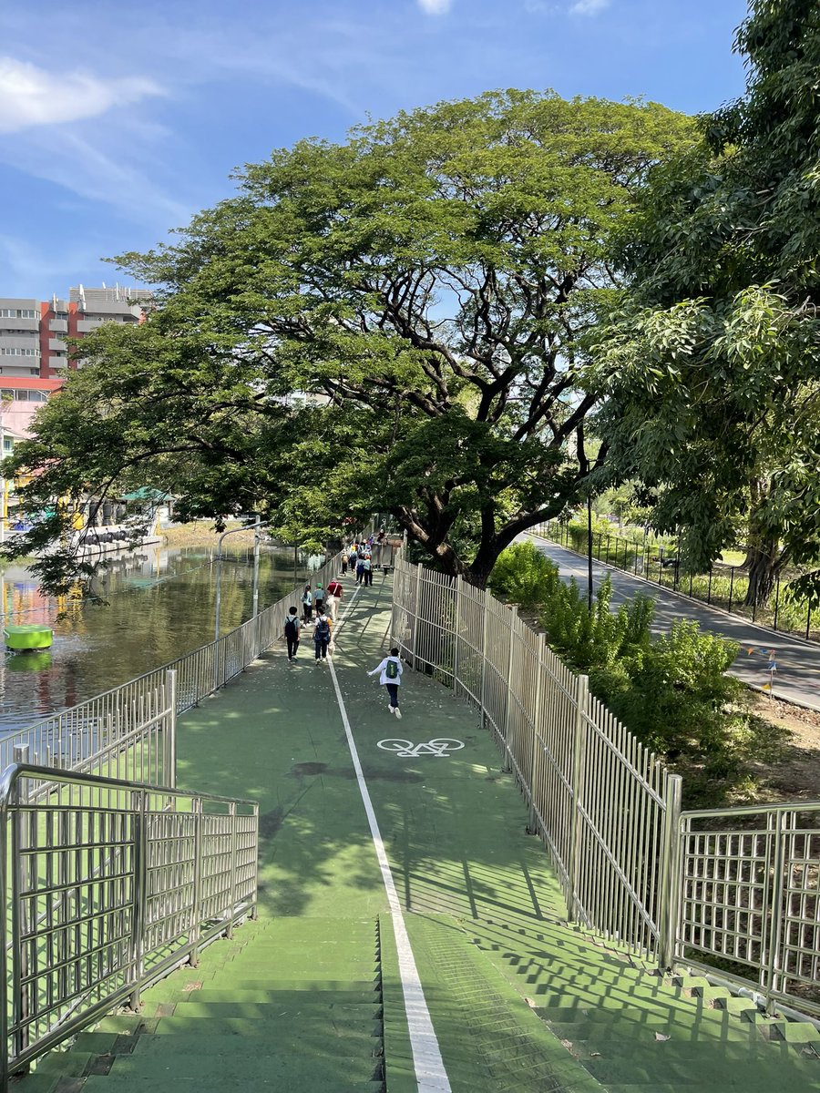 _SeeingPlaces's tweet photo. Lumphini to Benchakitti Park Walkway. 

#lumphini #bangkok #benchakitti https://t.co/HNGu4kRxVD