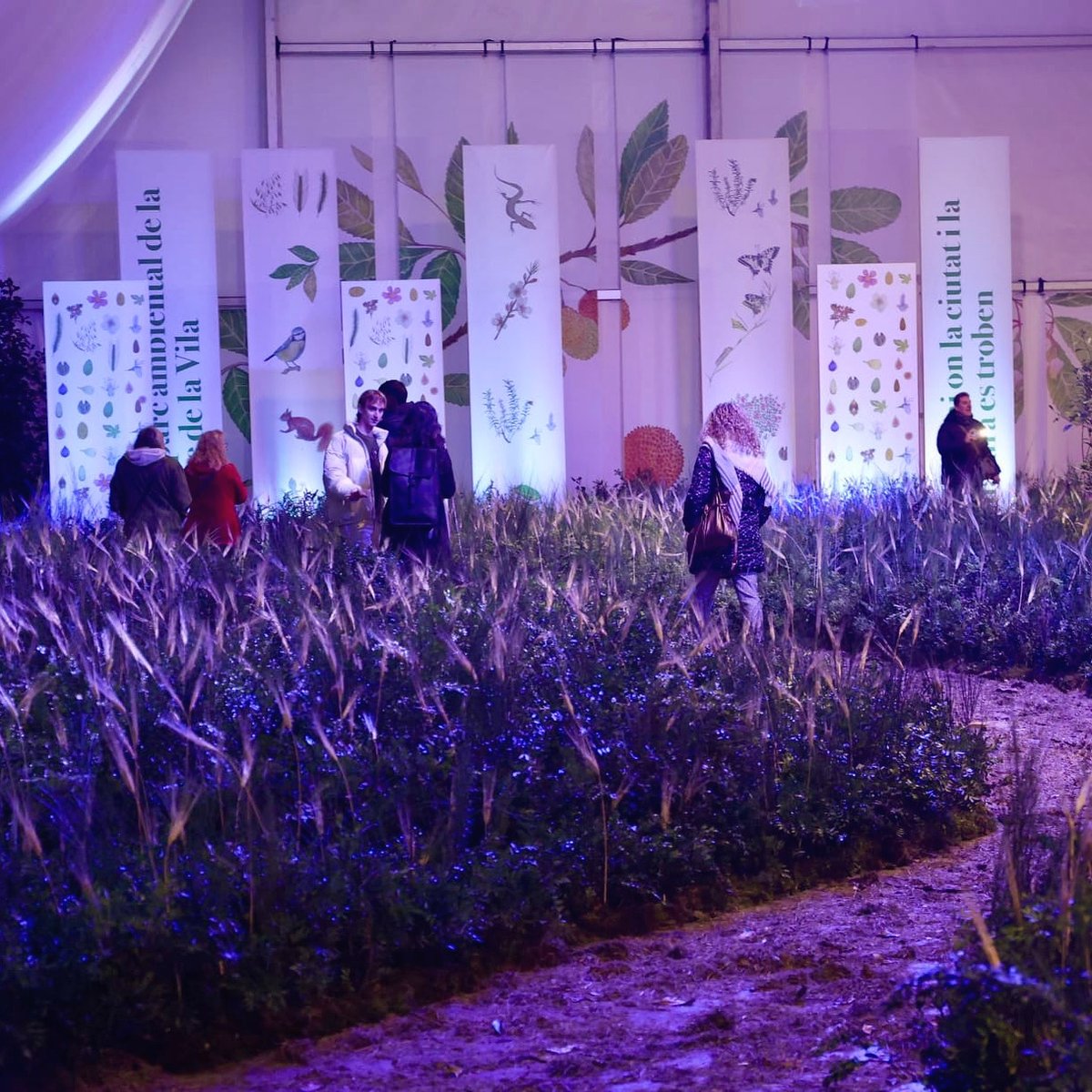 Enguany l'exposició municipal a la Carpa Sostenible i Saludable està dedicada al nou Parc Ambiental de Torre de la Vila. 🌳🍃🌾

No us la podeu perdre!