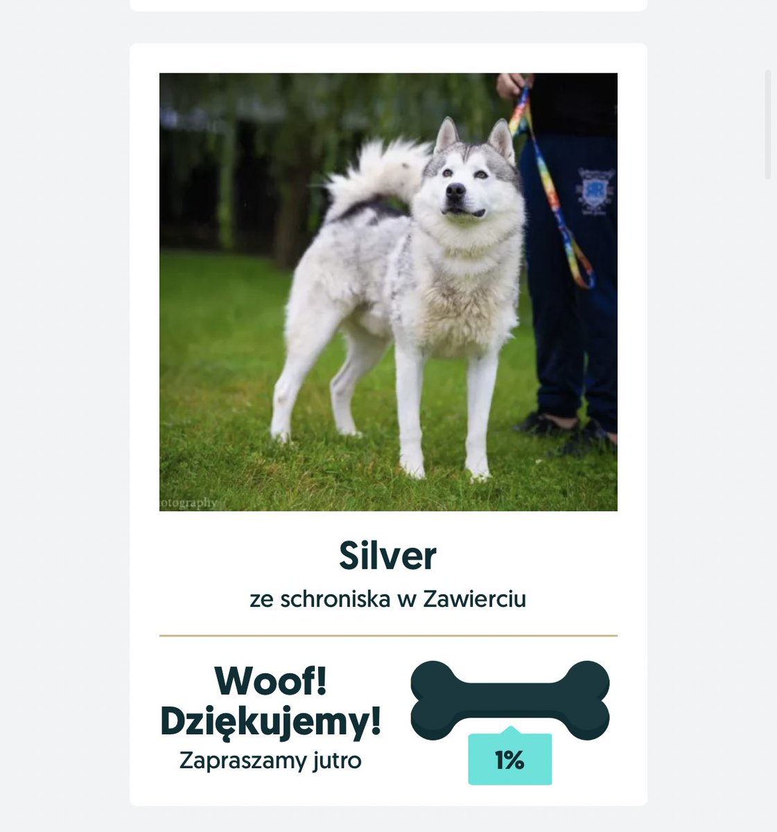 HALO kochani coroczna akcja z karmieniem pieskow na OLX sie juz rozpoczela!!! poswiećcie minutke waszego czasu i wesprzyjcie pieski w schroniskach🫶🏼 

#tweetme
