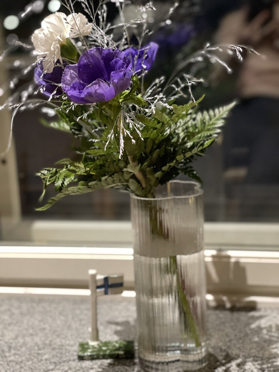 Hyvää itsenäisyyspäivää!🇫🇮