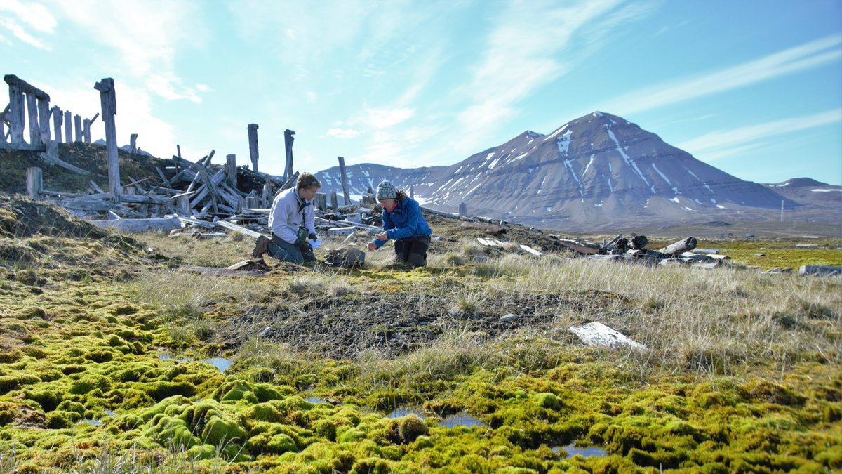 Not too late to apply for Fully Funded Fieldwork in the Arctic! 📆 INTERACT Transnational Access Call for 2024 is open until 15th December. NERC Arctic Research Station is one of the 38 stations offering Transnational Access. Welcome with your application!