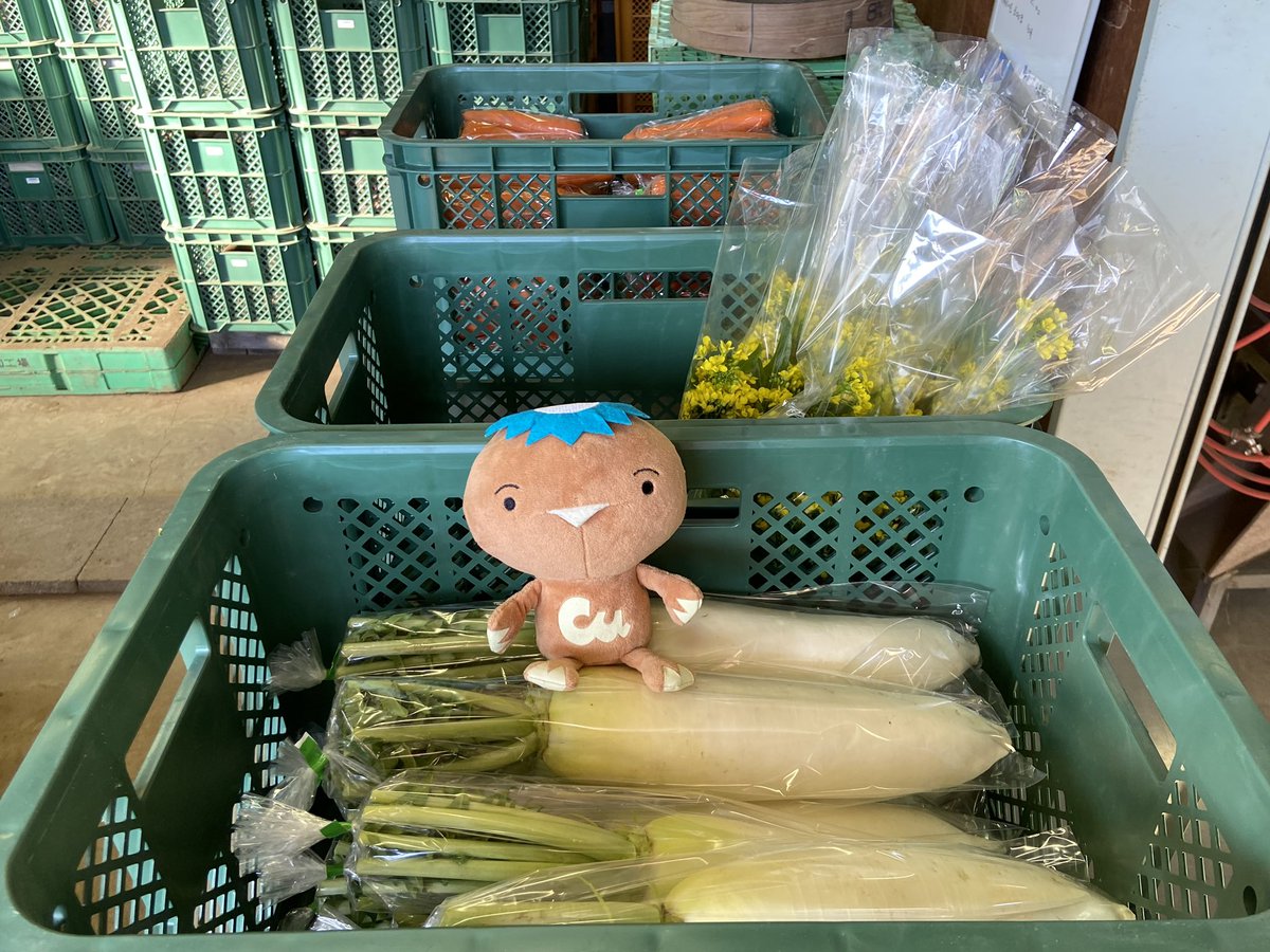 JX金属が農福連携事業を行う水戸市内の「JX金属内原ファーム」では