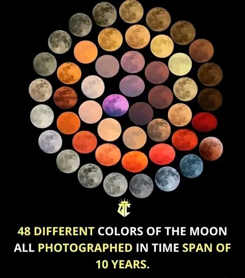 Udeakunelson's tweet photo. Beware of those reds (full blood moon) 😳🙄 https://t.co/udGVDHhG2z